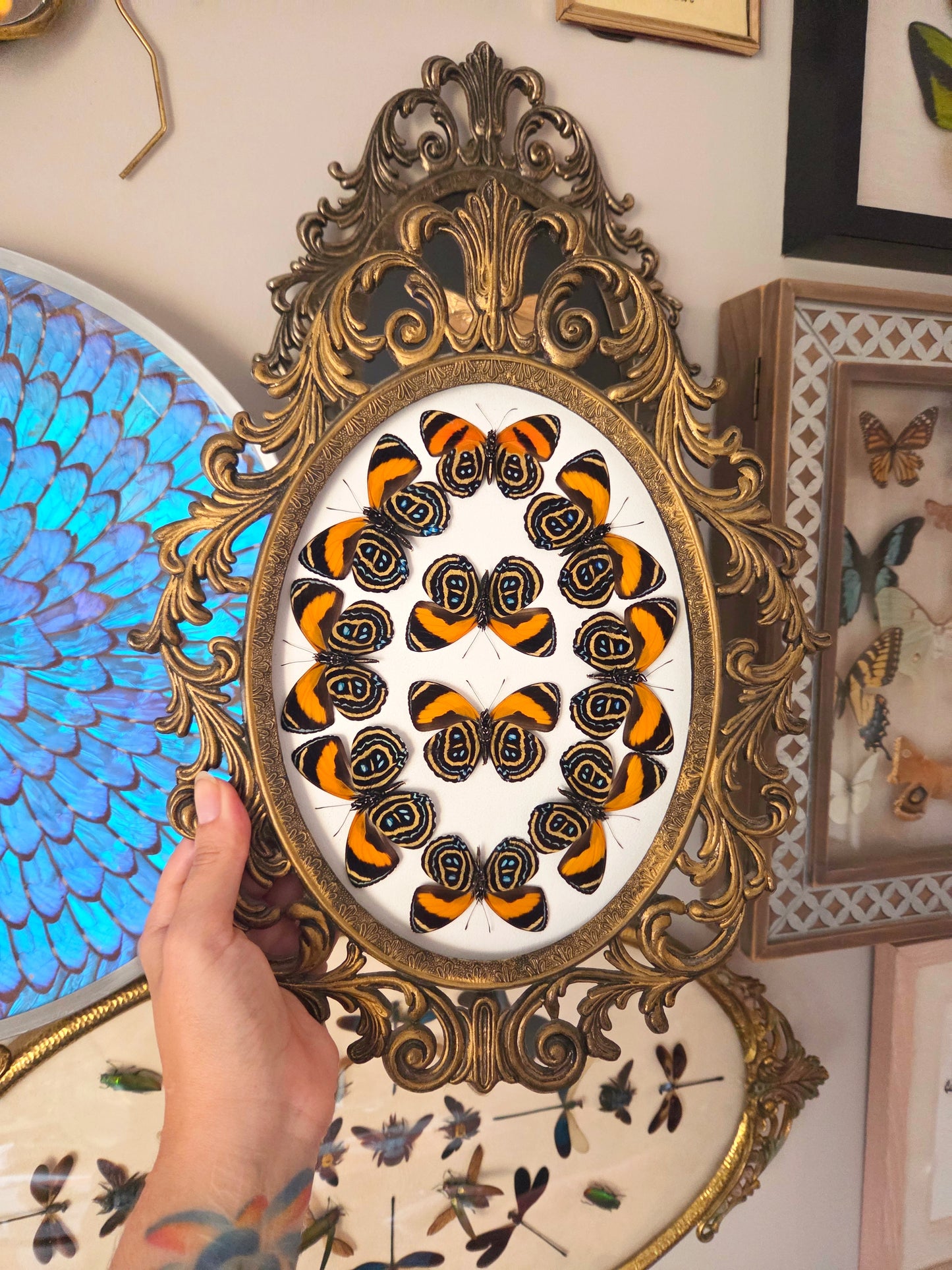 Excelsior Eighty-Eight Butterfly Kaleidoscope