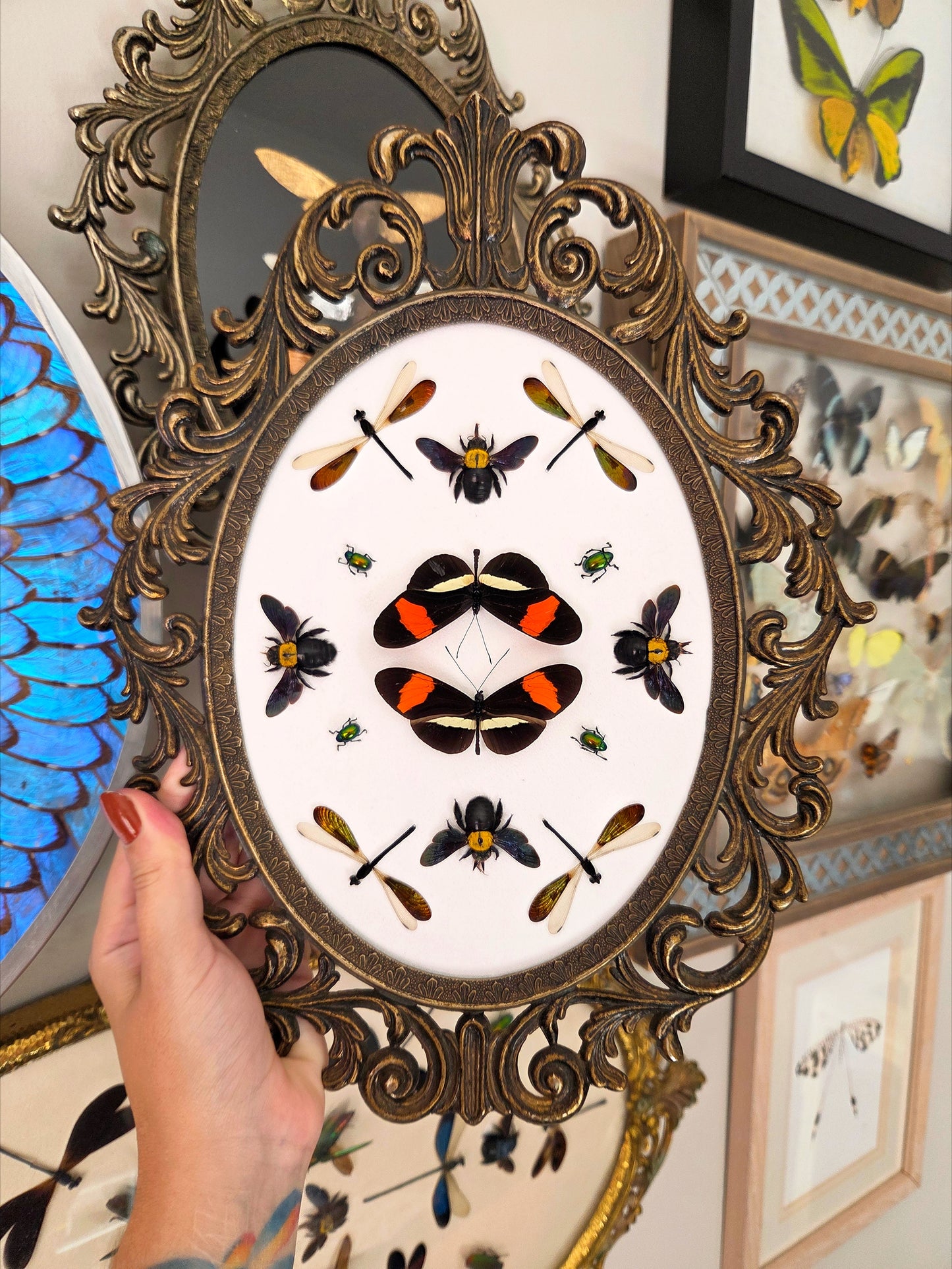 Postman Butterfly Kaleidoscope